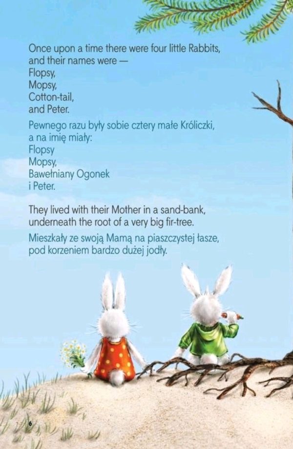 Naprawdę prosty angielski, czyli proaktywna instrukcja obsługi języka angielskiego (ePub, mobi + Piotruś Królik dwujęzyczna) - obrazek 8
