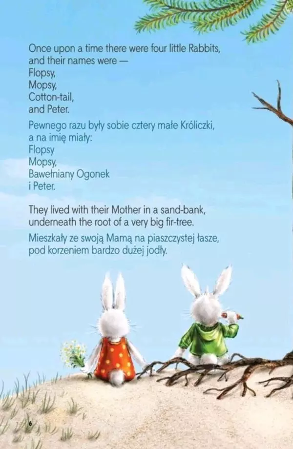 Naprawdę prosty angielski, czyli proaktywna instrukcja obsługi języka angielskiego (ePub, mobi + Piotruś Królik dwujęzyczna) - obrazek 8