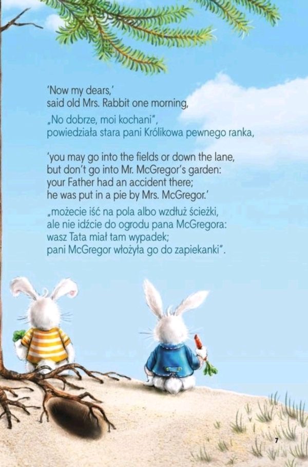 Naprawdę prosty angielski, czyli proaktywna instrukcja obsługi języka angielskiego (ePub, mobi + Piotruś Królik dwujęzyczna) - obrazek 9